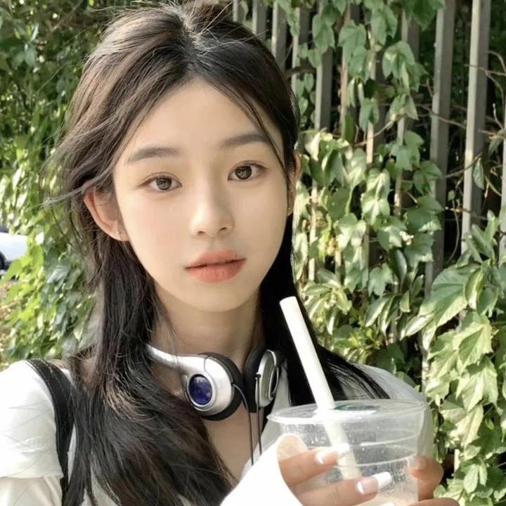 彩岛人生